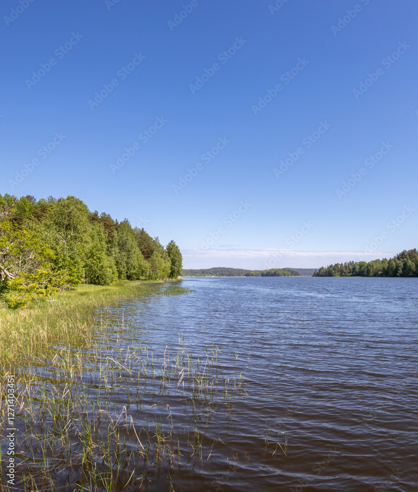 Obraz premium Calm lake with trees in the background