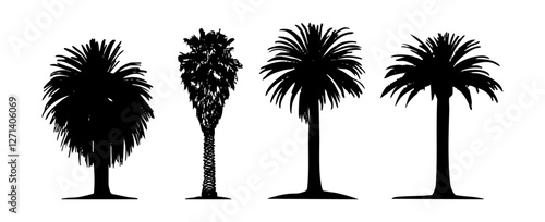 Collection Of Hand Drawn Tree Illustrations On A White Background