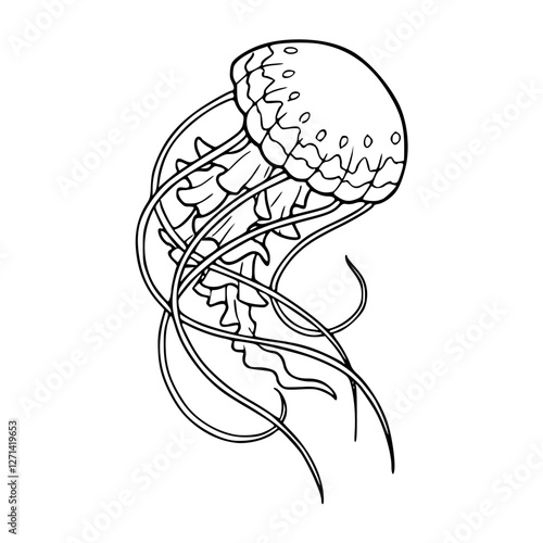 a black and white drawing of a marine life illustration : jellyfish in line art style