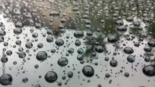 Фотография hydrophobic coat rain drops