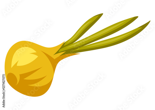 Illustration of onion. Stylized food object for cooking recipe and menu.