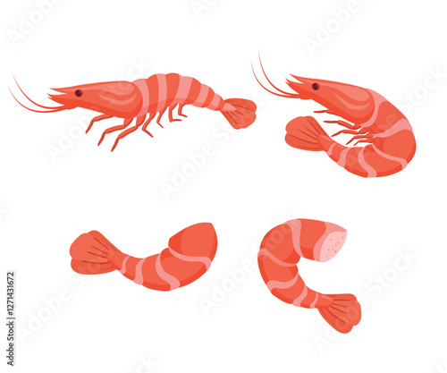 Shrimp and Prawn Set stock illustration