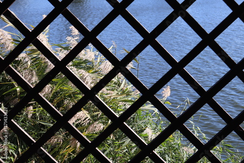 A view of lake through the fence