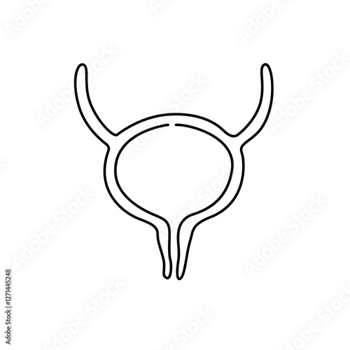 one line bladder