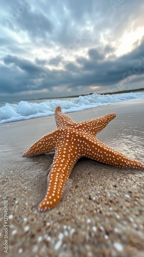 Starfish rests on sandy beach as waves gently wash ashore in sunny coastal lo...