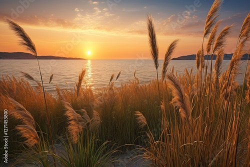tall grass in front of the water at sunset