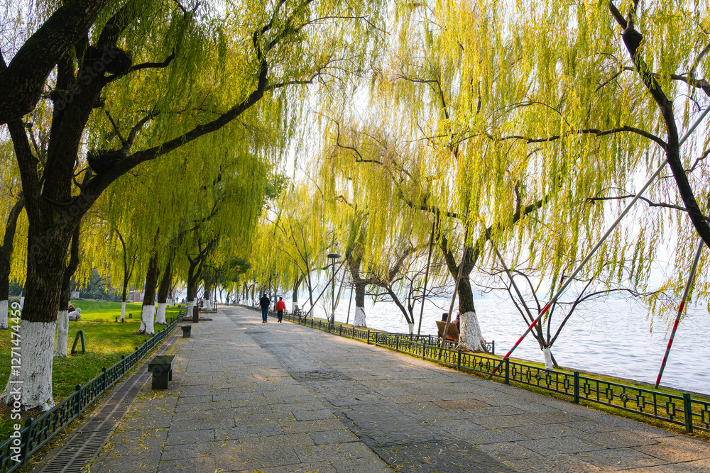 中国 浙江省杭州市、世界遺産の西湖 湖畔の遊歩道