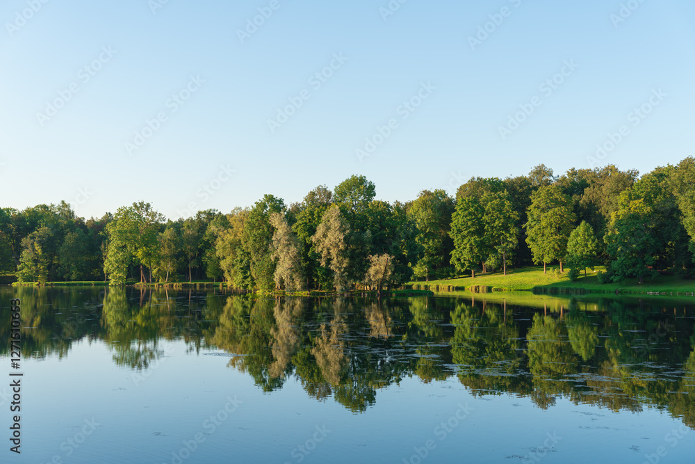 Reflection of green trees and clear sky in a pond, as if in a mirror, creating a symmetrical picture that seems almost magical. Harmony, silence, meditation and tranquility Reflection of green trees and clear sky in a pond, as if in a mirror, creating a symmetrical picture that seems almost magical. Harmony, silence, meditation and tranquility