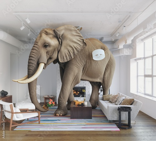 Photography Large elephant in a living room