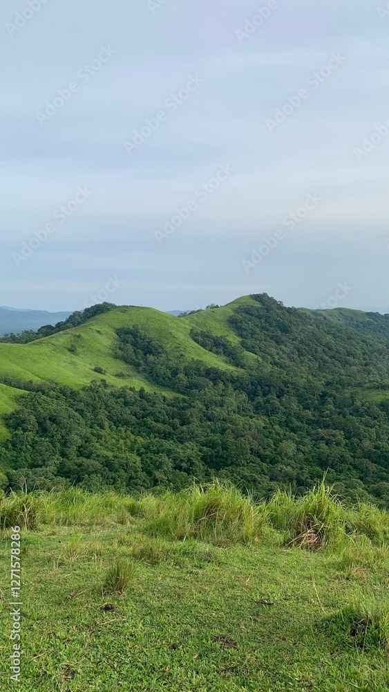 Obraz premium beautiful scenery