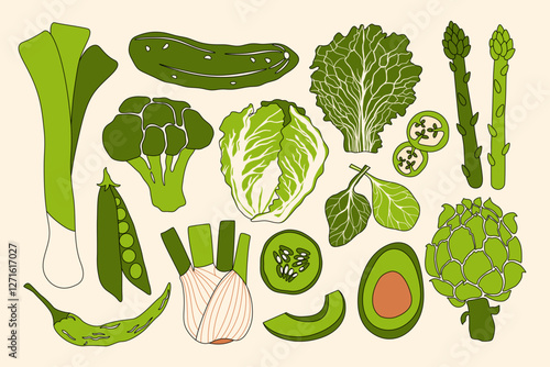 Green vegetable set. Fresh vegetables, organic food with cartoon natural plants leafy salad, healthy veggies grocery cooking concept. Vector collection