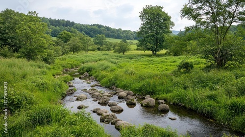 Serene Stream Flowing Through Lush Green Meadow