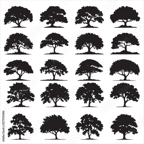 set vector various oak tree silhouettes