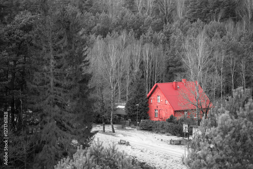 A lonely red brick house surrounded by a forest. Black and white. Subdued.