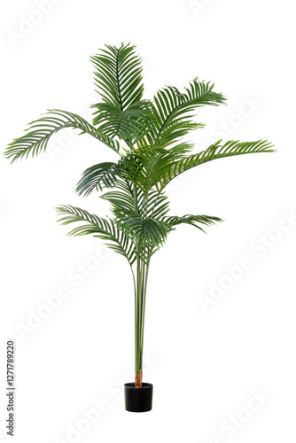 isolated tropical Artificial Areca Palm Plant