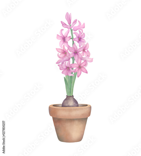 Wallpaper Mural Pink hyacinth with green leaves in flowerpot. Watercolor botanical illustration isolated on white. Hand drawn spring flower for invitations, greetings, wedding, postcard design Torontodigital.ca
