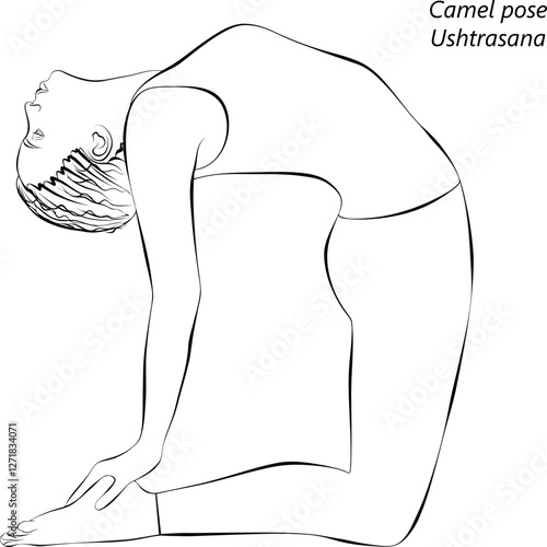 Sketch of young woman practicing Ushtrasana yoga pose. Camel pose. Isolated vector illustration.