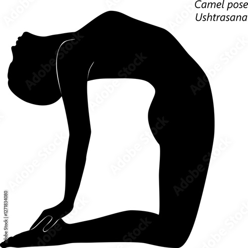 Silhouette of woman practicing Ushtrasana yoga pose. Camel pose. Isolated vector illustration