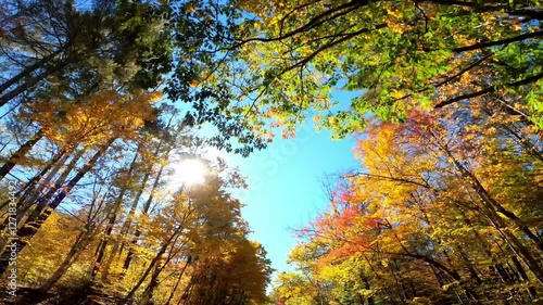 Catskill Driving 0699 Autumn New York