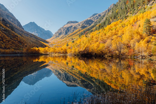 Mountain lake and yellow autumnal trees. photo