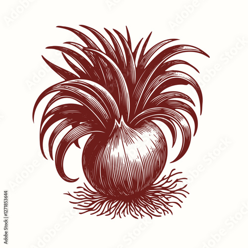 Common onion with  leaves close up. Shallot bulb isolated on white background. Vector illustration
