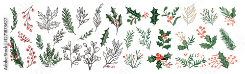 Christmas plant leaf, hand drawn doodle sketch holly floral, winter branch elements, rustic wreath, holiday decoration, vector illustration, flower set, Christmas tree leaves.