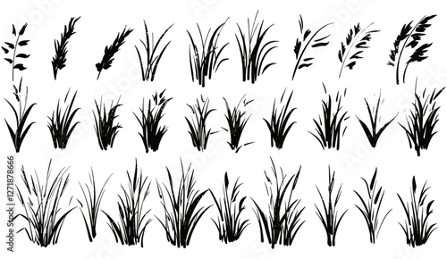 Grass field vector illustration, hand drawn sketch, ink brush doodle, grunge texture background, organic elements, botanical pattern, herb design, nature drawing