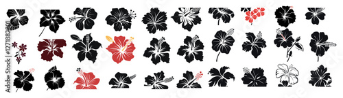 Hibiscus flower silhouettes, vector illustration set, tropical flower, Hawaiian bloom, nature design, floral artwork, exotic plant, silhouette art, tropical decoration, vector flowers