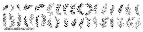 Hand drawn sketch, wreath, leaf branch, rustic set, flourished branch, laurel flower, border design, divider element, sketch doodle, botanical wreath, nature illustration