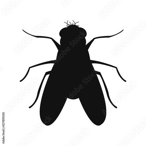 Fly insect icon silhouette on White Background. Vector illustration