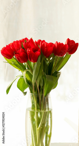 beautiful red tulips on a light background in a vase
