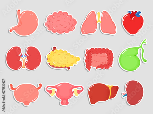 Human internal organs stickers. Cartoon human organ heart, liver, stomach, lungs, kidneys, pancreas, intestines, bladder, uterus, brain, spleen, bone, gallbladder. Internal organs stickers set
