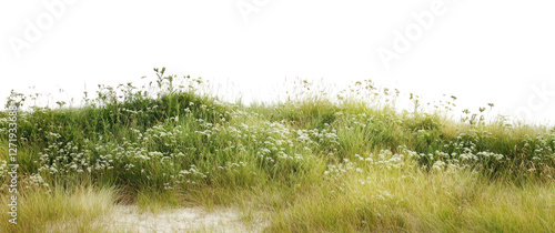 PNG Meadow hills outdoors scenery nature.
