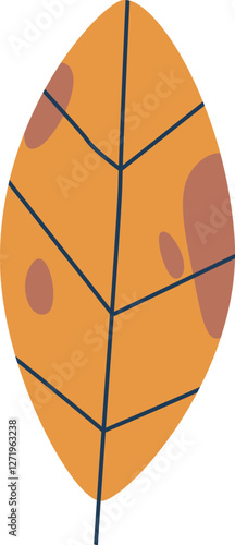 Beech autumn leaf vector illustration