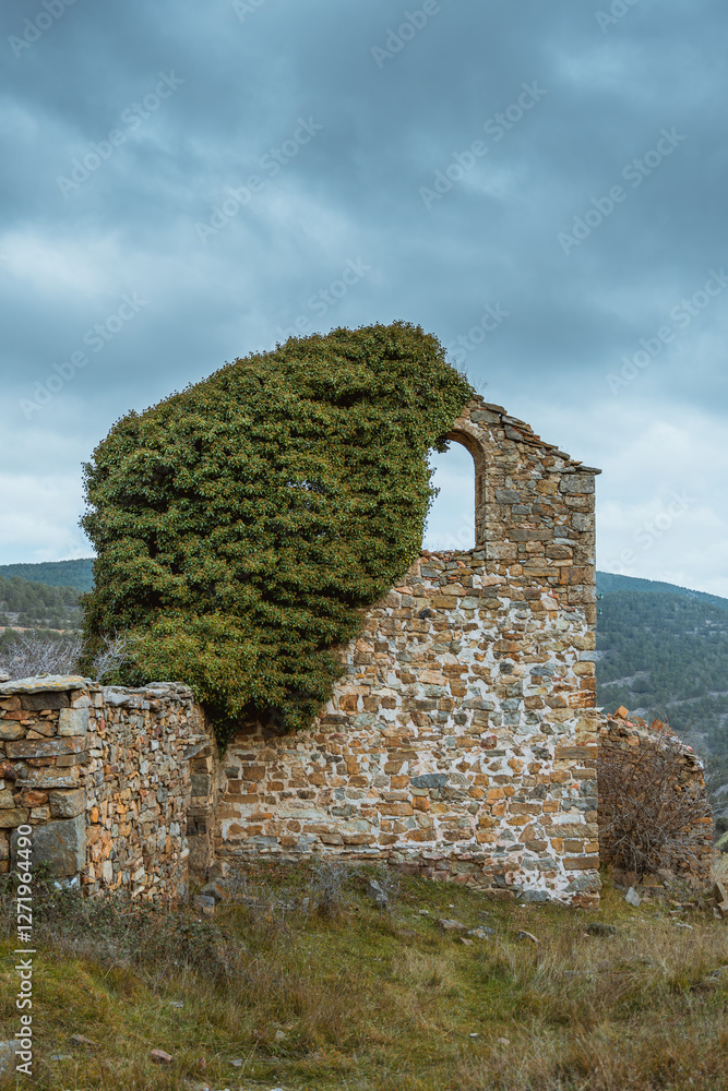 Fototapeta premium Derelict church. Run down church. Abandoned village in Valdenegrillos, Soria, Spain. Soria Highlands. Bell tower with plants. Nature growing among the ruins.