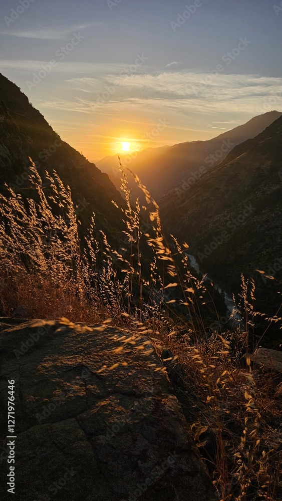 Fototapeta premium Kings Canyon at Sunset