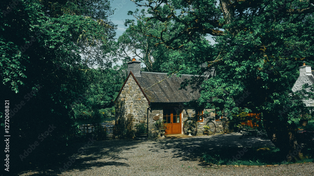 old house in the woods old house in the woods