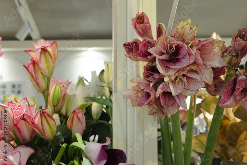 Wallpaper Mural High-end holiday flowers, low-cost flower shop, rare flower materials, aesthetic lifestyle, creative flowers, flowers for high-income families, holiday flowers, flower retail design, self-care Torontodigital.ca