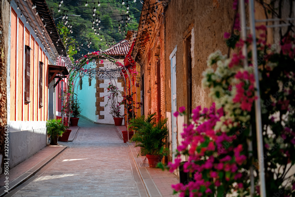Obraz premium A narrow street in the old town of La Guaira in Venezuela.Colored houses and a narrow cobbled street with flowered entrances, Latin America.
