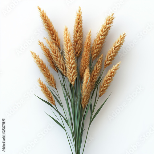 Golden Wheat Stalks Against Clean White Background