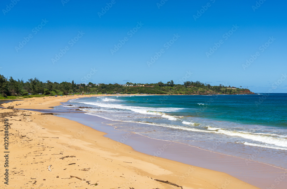 A scenic view of Anahola Beach Park in Kauai, Hawaii, featuring the sandy shoreline, gentle waves, and lush greenery under a clear blue sky. A scenic view of Anahola Beach Park in Kauai, Hawaii, featuring the sandy shoreline, gentle waves, and lush greenery under a clear blue sky.