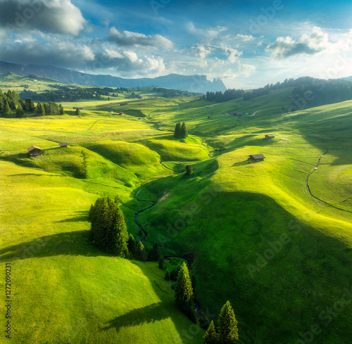 Aerial view of green alpine...