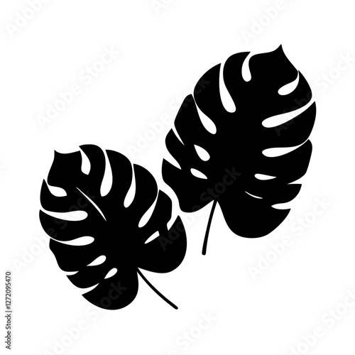 Vector art of two monstera deliciosa leaves isolated on white background, perfect for adding a tropical touch to any design or creative project