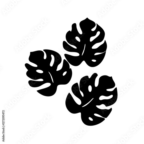Vector art of three monstera deliciosa leaves isolated on white background, a trendy and minimalist design element for a tropical and exotic vibe