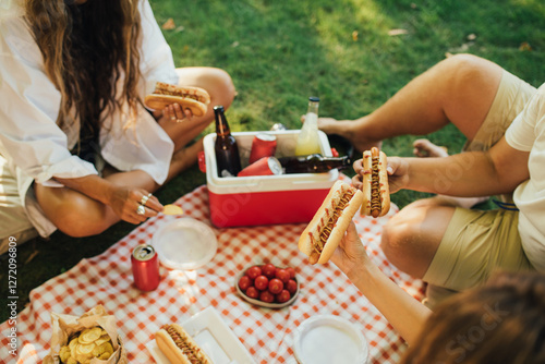 Happy people having picnic with hot dogs and cold drinks, sitting on a plaid in a park.
