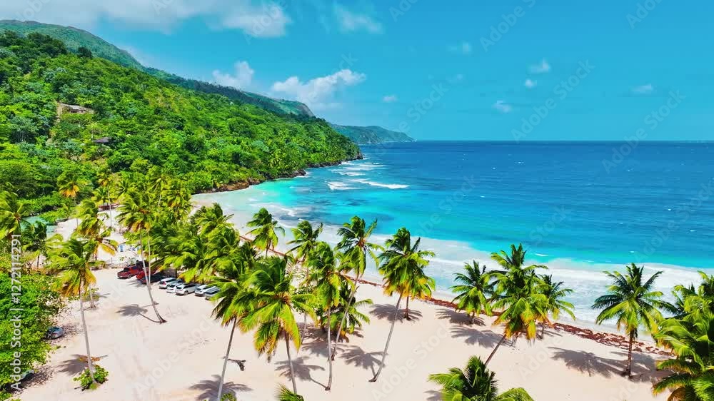 Drone view of tropical palm beach with white sand and blue sea under blue sky. Palm trees on the Caribbean coast. Summer on amazing island. Amazing natural landscape. Drone view of tropical palm beach with white sand and blue sea under blue sky. Palm trees on the Caribbean coast. Summer on amazing island. Amazing natural landscape.