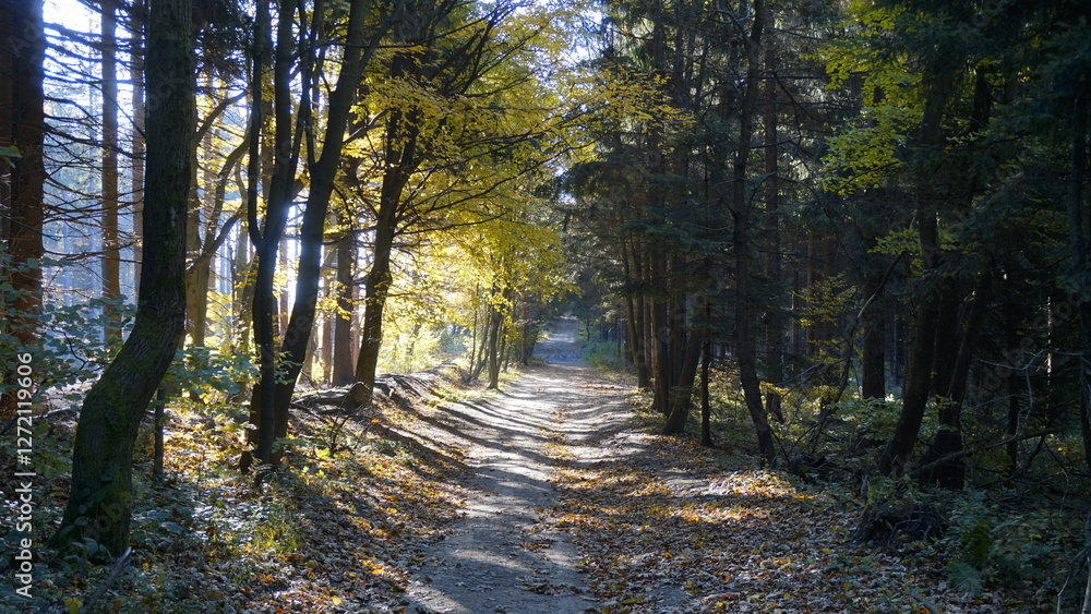 Obraz premium White carpathians moravia