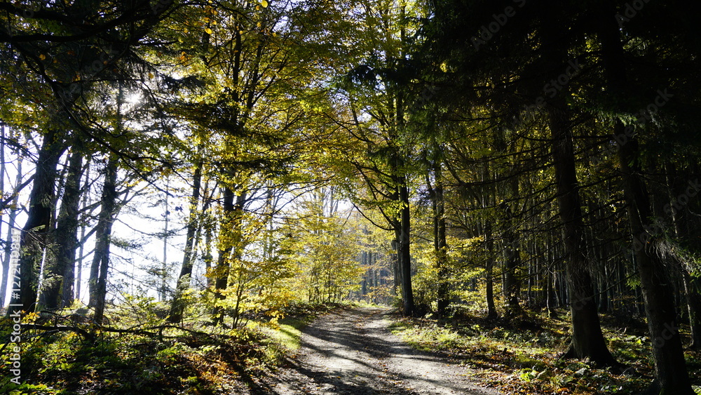 Obraz premium White carpathians moravia