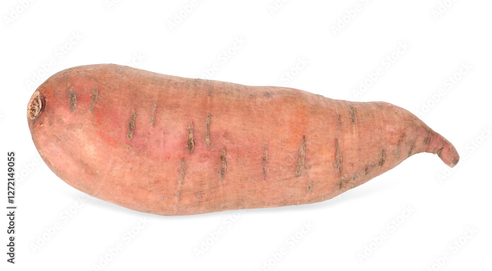One fresh sweet potato isolated on white, above view. Vegetable root One fresh sweet potato isolated on white, above view. Vegetable root