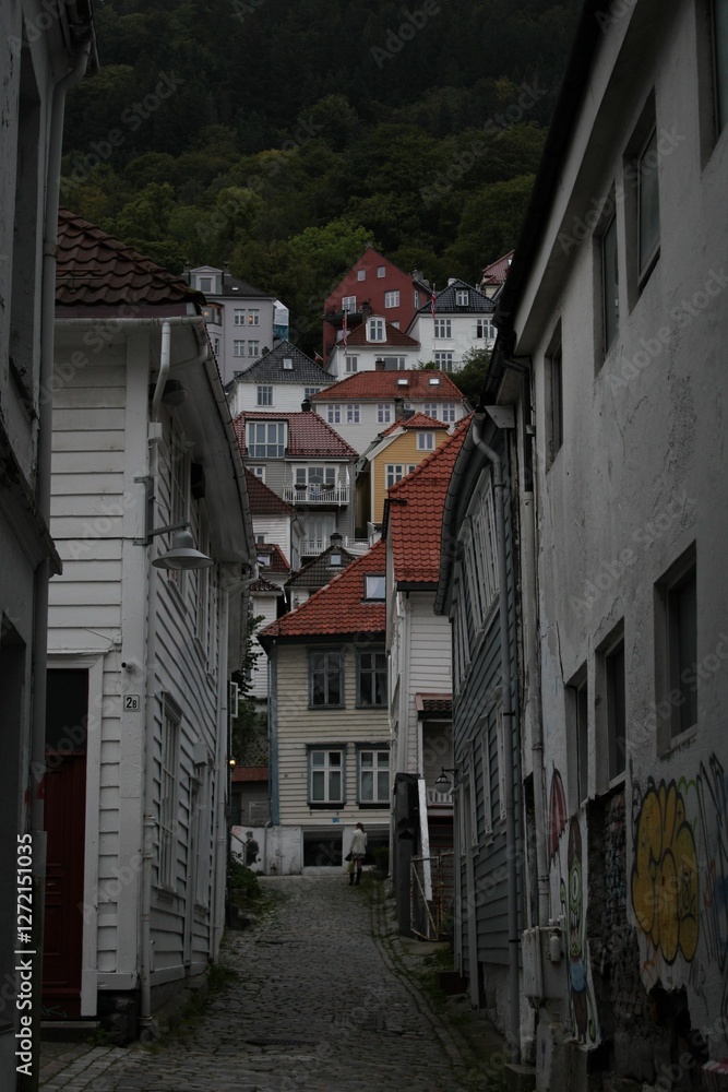 Obraz premium Clusters of Nordic homes nestled within steep mountain ridges.